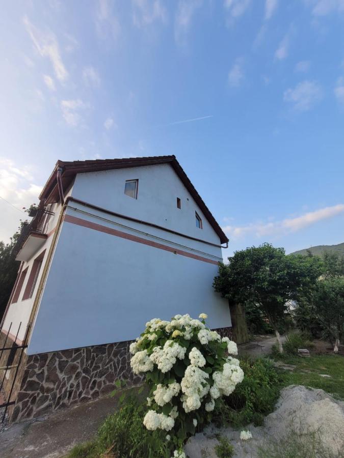 Vila Castelana Качулата Екстериор снимка